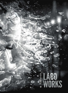 Selected Shorts 12: Labo Works |16 Films | NUIT BLANCHE / THE LODGE |SPORTSTUGAN / THE CITY SQUARE |PAS DE DEUX / PLAY |JEU / LILA / ALL IN ALL |ALT I ALT / WE HAVE DECIDED NOT TO DIE / DRIFT  | FAST FILM / CENTIPEDE SUN / DOXOLOGY /  DVD